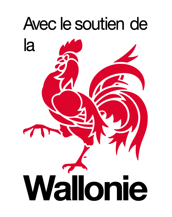 Logo du soutien de la région wallone